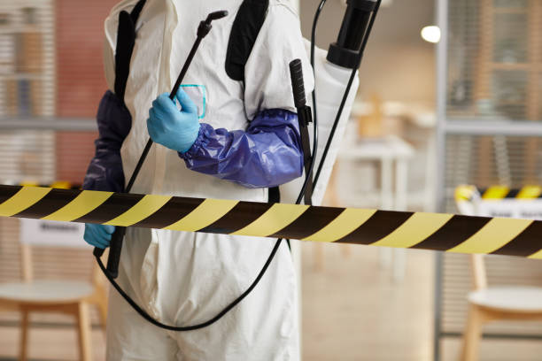 Professional Sewage Cleanup technician working in Hugo, MN